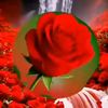 ncla9gmail.com
