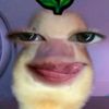 nayy_03imup