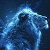 sher07924