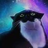 maxwell_cat666