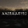 amirnasyri53