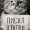 klytoi385