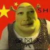 z_d_w666
