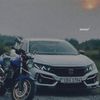 zhenu_2
