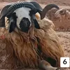 user5410548610666
