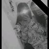 koko.kram6