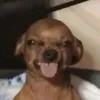 chelsiuee