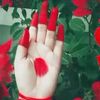 tahminakhter4