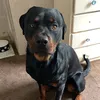 itsthebruce4
