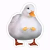 gretasaba_