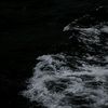 david_essx