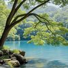 liaoyu_7