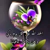 user3933575067336