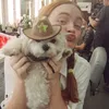 eloox_karol