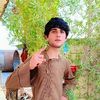 user81323308654791