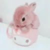 tiktok.ale44