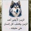 user81579925650176