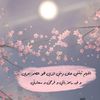 sofyyy_34