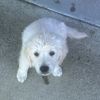 zoey57421