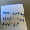 mini.popoto6