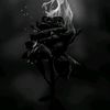 flower.in.the.dark_19