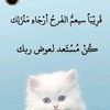 user66018795709738