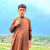 hamidhamidkind