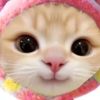 mhdhdhpks5