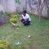 abysabaot.grl