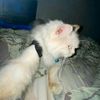 beboo0824