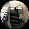 strip4dayton_