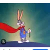 bannerpfvte