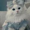 user328162344556