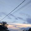 syacaa123456
