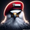 user055822810