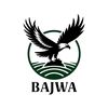 bajwajutt051