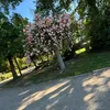 anonym_354
