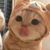 hellomynameisjosie17