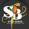 Syedbirdsgujrat