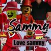 jandelysammysebesan