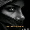 ali.mohsen8690