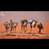 hissein.djiddi5