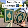 user10391265110904
