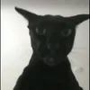 1_mip9