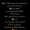 hayhat37