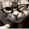 whats_262
