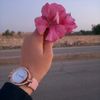 user9560654507359