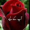 gohar.khan0860