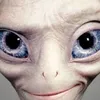 elienbeeid