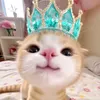 nikax219